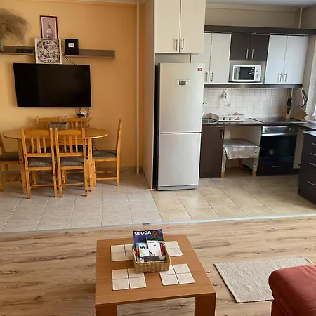 Calm Island Near The Danube - Free Parking Apartament