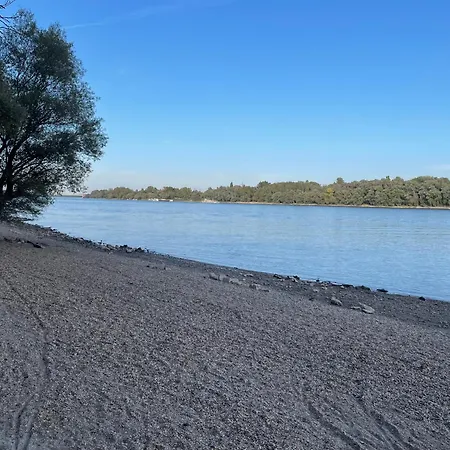 Calm Island Near The Danube - Free Parking *