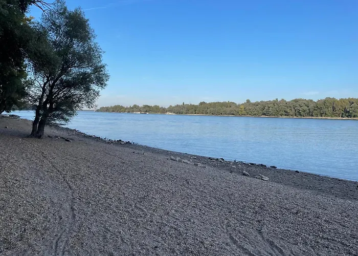 Calm Island Near The Danube - Free Parking *