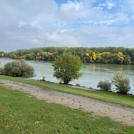 Calm Island Near The Danube - Free Parking Apartment *