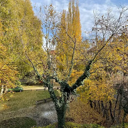 Apartment Calm Island Near The Danube - Free Parking Budapest